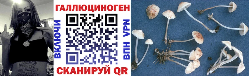 hydra маркетплейс  наркота  Кисловодск  Псилоцибиновые грибы мицелий 